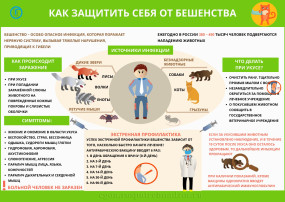 Профилактика бешенства Профилактика бешенства.